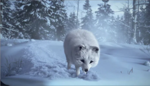 Exchange4Media – Dive In (Arctic Fox)